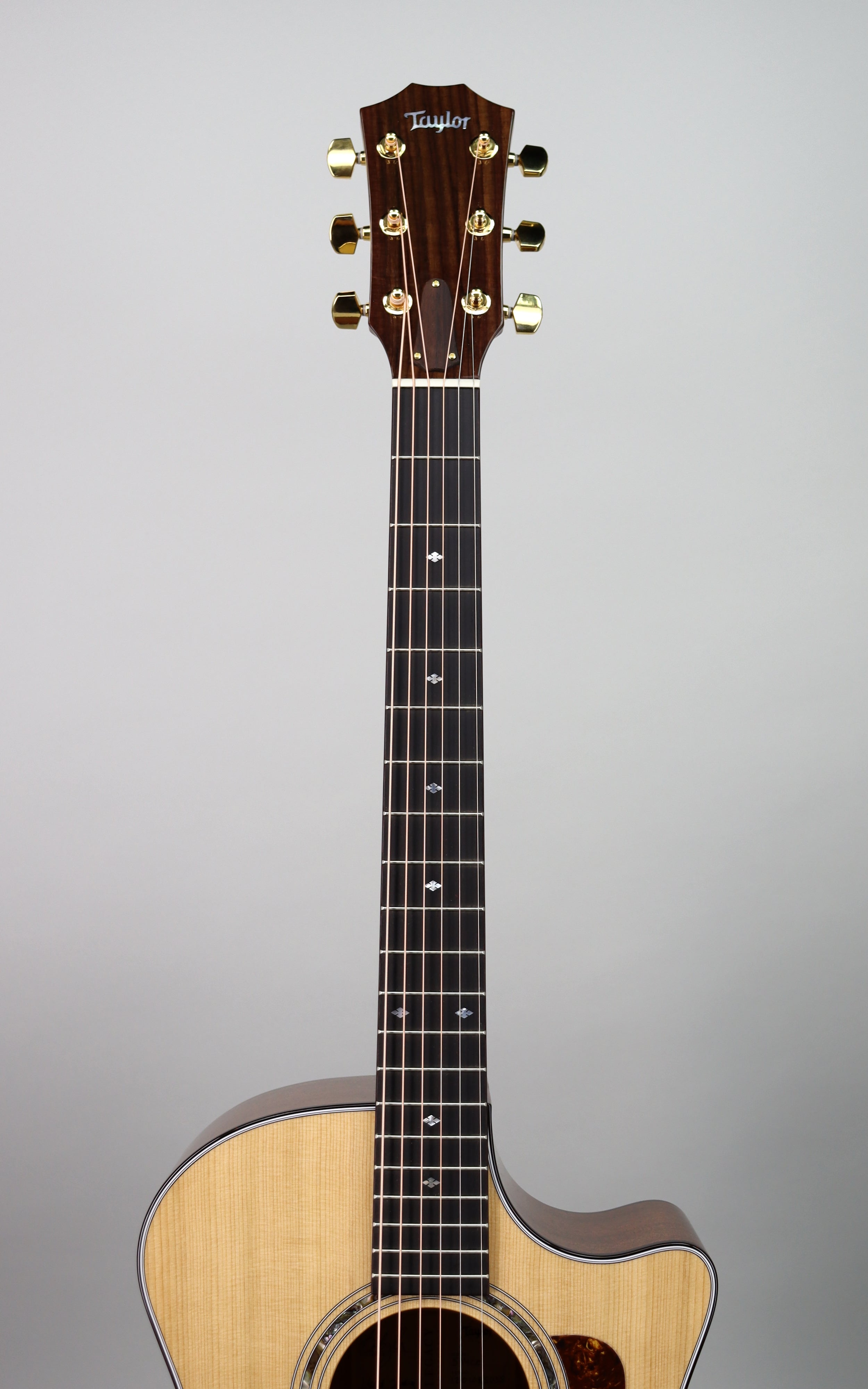 Taylor Legacy 514ce Limited Signed Edition Acoustic Guitar - Handcrafted Premium Tonewood for Professional Musicians & Collectors | Perfect for Live Performances, Studio Recording & Gift Giving