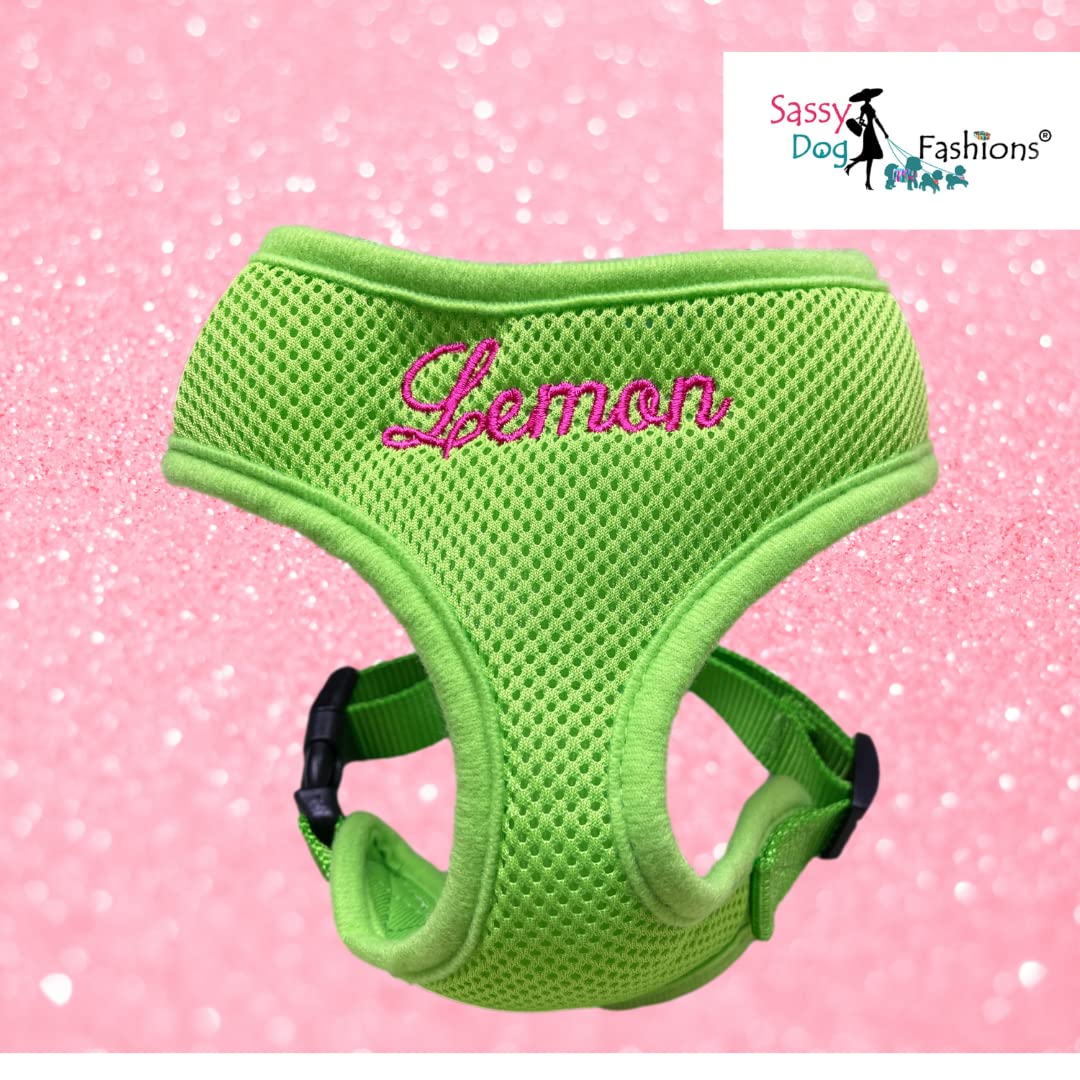 **Personalized Dog Harness with Embroidered Pet Name – Soft Padded Air Mesh No-Pull Adjustable Harness for Small & Medium Dogs – Made in USA (Small, Green) – Perfect for Walks, Training & Outdoor Adventures**