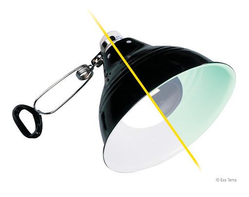 Exo Terra Glow Light Porcelain Clamp Lamp - Small Reptile Terrarium Lighting for Lizards, Snakes & Amphibians - Perfect for Nighttime Viewing & Habitat Illumination