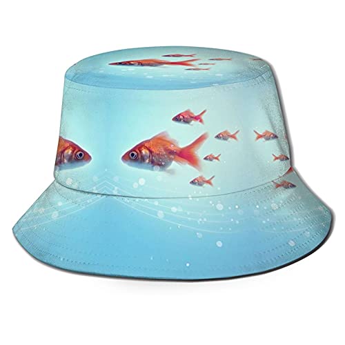 Goldfish_a03