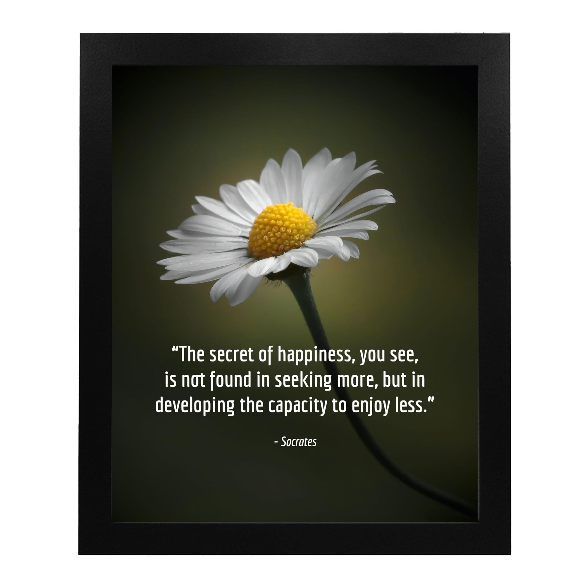 Socrates Quotes Wall Art - Inspirational Philosophy Print with Floral Design, Motivational Decor for Living Room, Home, Office & Bedroom - Unframed 8x10 - Perfect for Study Spaces & Meditation Rooms