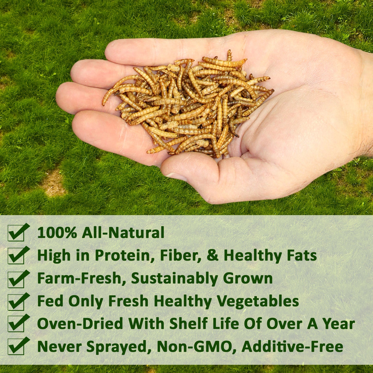 Ez Worms - Live Fishing Bait for Freshwater & Saltwater - High-Quality Compost Worms for Garden & Fishing - Perfect for Bass, Trout, and Catfish
