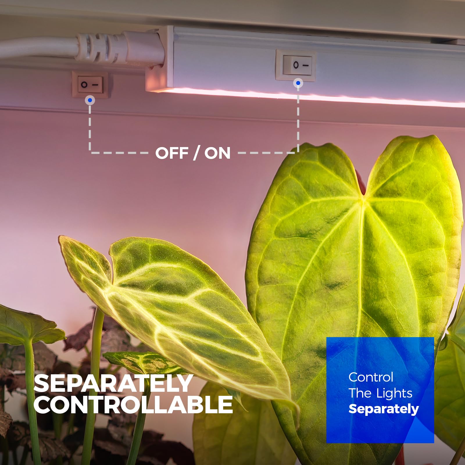 Barrina 4-Pack LED Grow Lights for Indoor Plants - Full Spectrum Sunlight, 2ft 40W (4 x 10W, 250W Equivalent), T5 Grow Light Bulbs, Pinkish White, Plug & Play - Perfect for Hydroponics, Greenhouses & Home Gardening