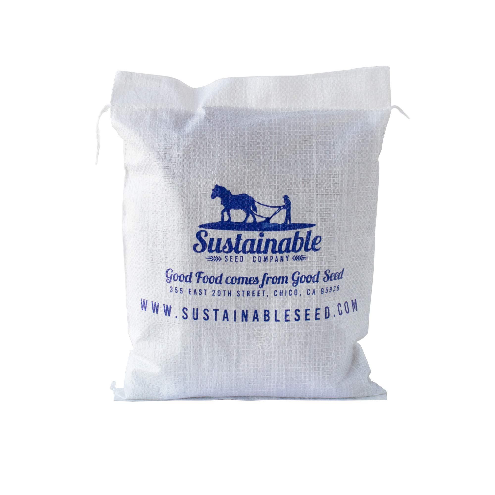 Organic Vegetable Spaghetti Squash Seeds - 5 LB Bulk Pack (~14,000 Seeds) | Non-GMO, Open Pollinated, Heirloom Variety | Perfect for Home Gardening, Sustainable Farming & Winter Squash Cultivation | Great for Healthy Cooking, Meal Prep & Plant-Based Diets