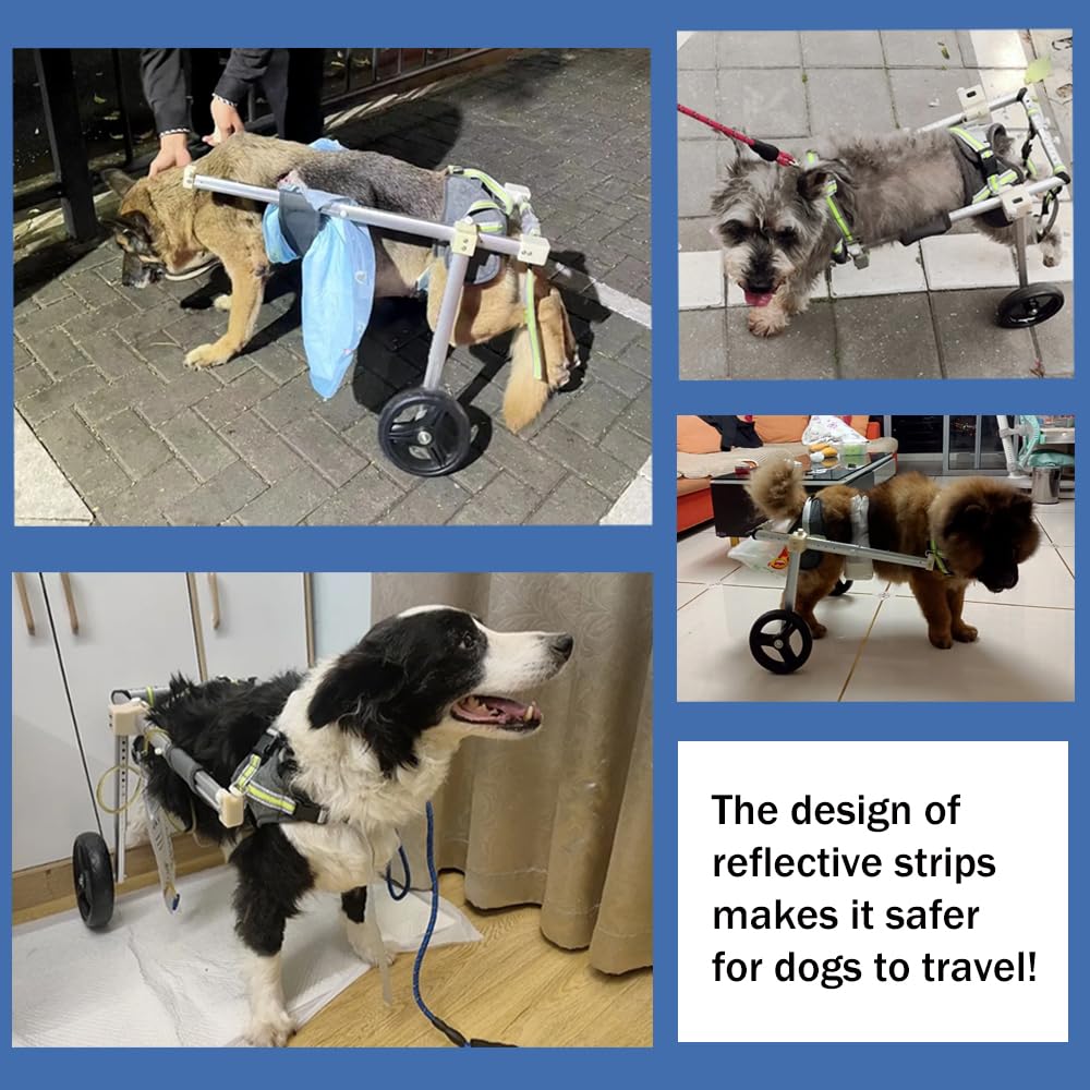 Adjustable Dog Wheelchair for Hind Legs - Lightweight Pet Mobility Cart for Disabled Dogs - 5 Sizes (XS-XL) - Ideal for Back Leg Rehabilitation & Daily Walking Support