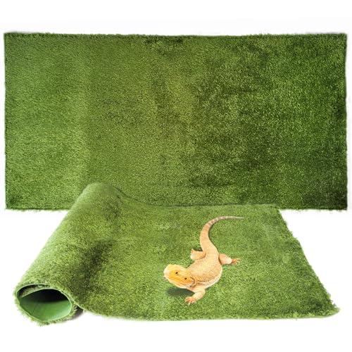 2PCS（XXL）：35.43 X 17.71 in