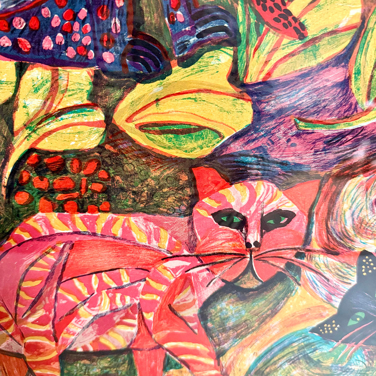 Exotic Cat Kins - Premium Signed Collectibles for Cat Lovers | Perfect for Home Decor, Gifts & Cat-Themed Collections
