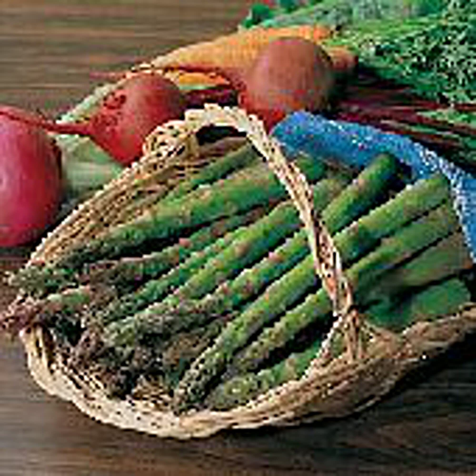Premium Jersey Knight Asparagus Seeds (20+ Seeds) | Non-GMO Vegetable Seeds for Planting | Home Garden, Greenhouse & Outdoor Farming | Fresh Healthy Spears for Cooking, Salads & Gourmet Dishes