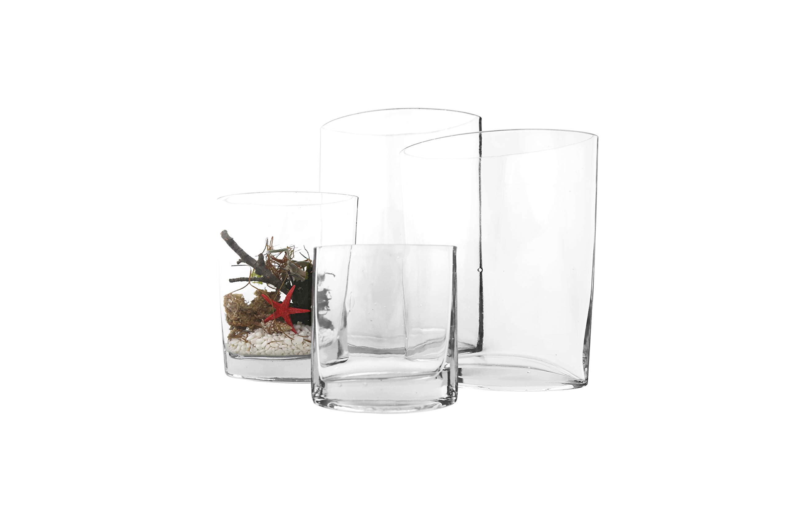 WGV 12-Pack Oval Glass Vases - 6.5