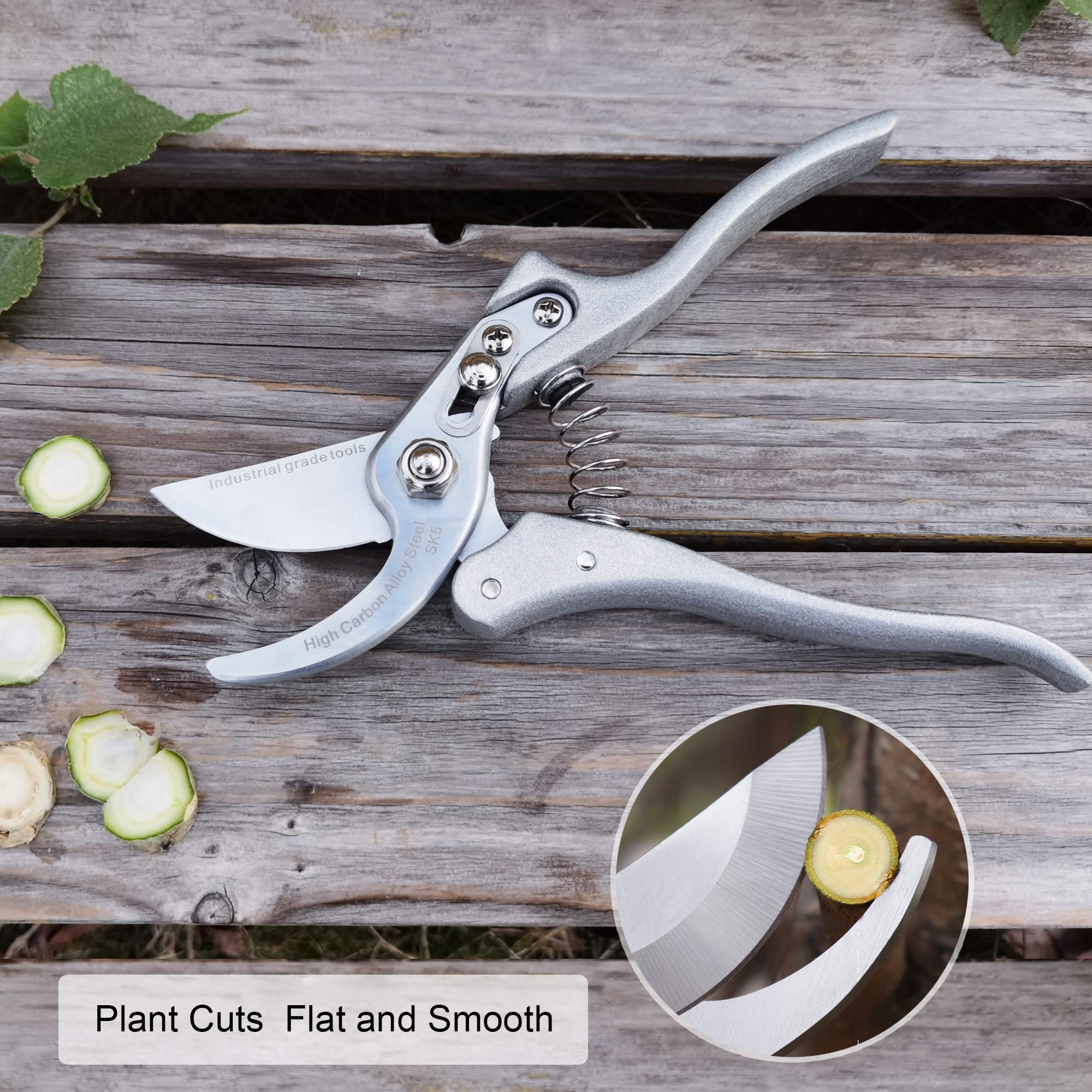 Premium Japanese 8 Inch Bypass Pruning Shears - TONMA Gardening Scissors with Ergonomic Handle, Professional Secateurs for Trimming Plants, Flowers & Shrubs - Ideal for Home Gardeners & Landscaping Professionals