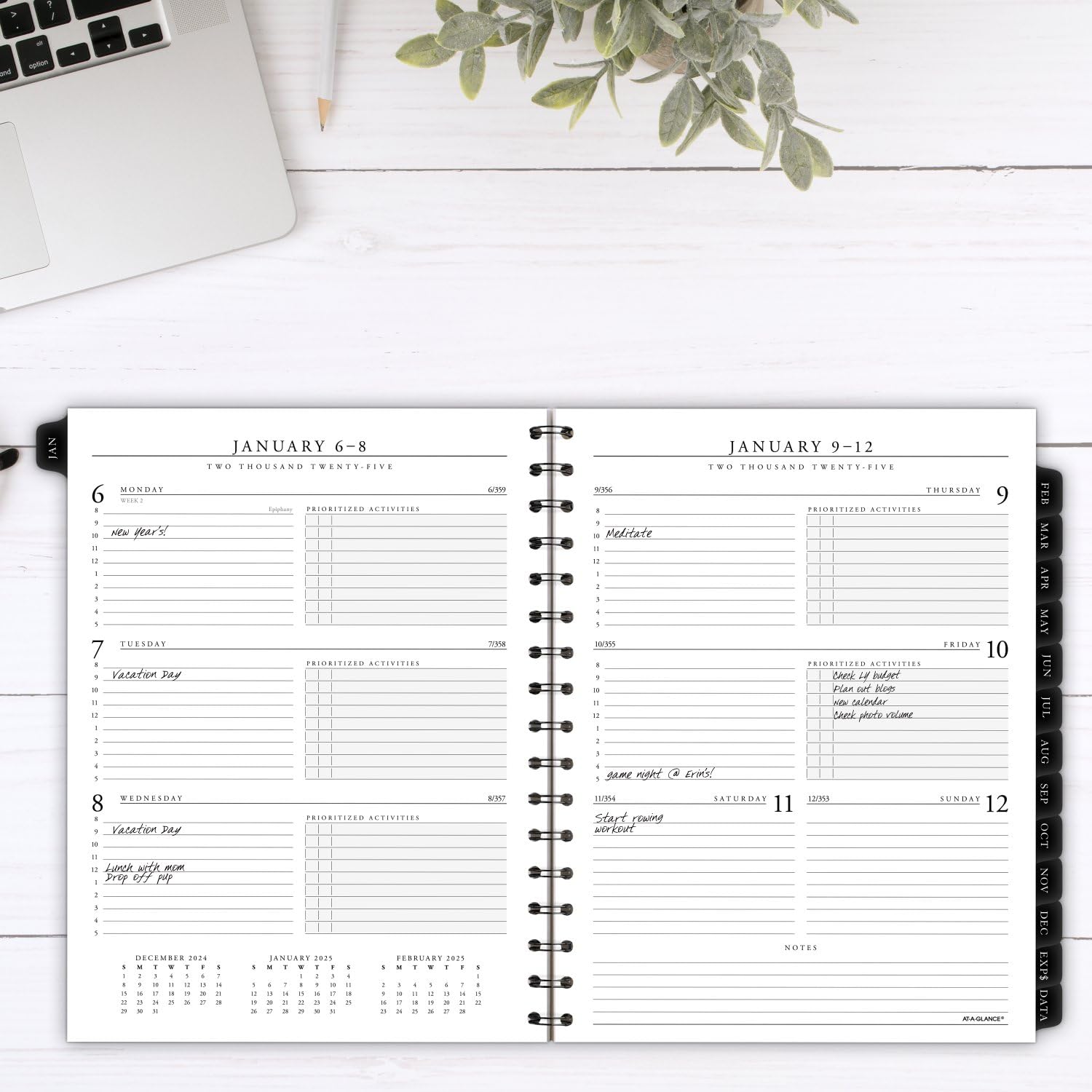 AT-A-GLANCE Executive 2025 Planner Refill - Weekly & Monthly Appointment Book for 70-545, 6.5