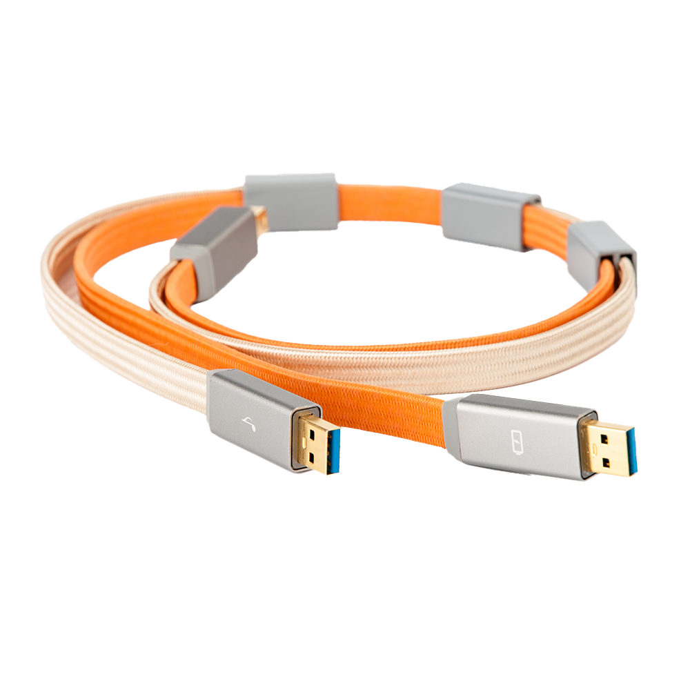 iFi Gemini 3.0 Dual Headed High-End USB Audio Cable (0.7m, USB 2.0 B) for Audiophiles - Perfect for DACs, Digital Transports & Hi-Fi Systems