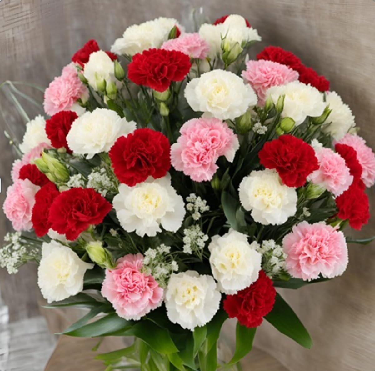 KaBloom Fresh 24 Assorted Carnations Bouquet - No Vase Included | Perfect Gift for Birthday, Anniversary, Get Well, Thank You, Valentine's Day & Mother's Day | Ideal for Home Decor, Office Centerpieces & Special Occasions