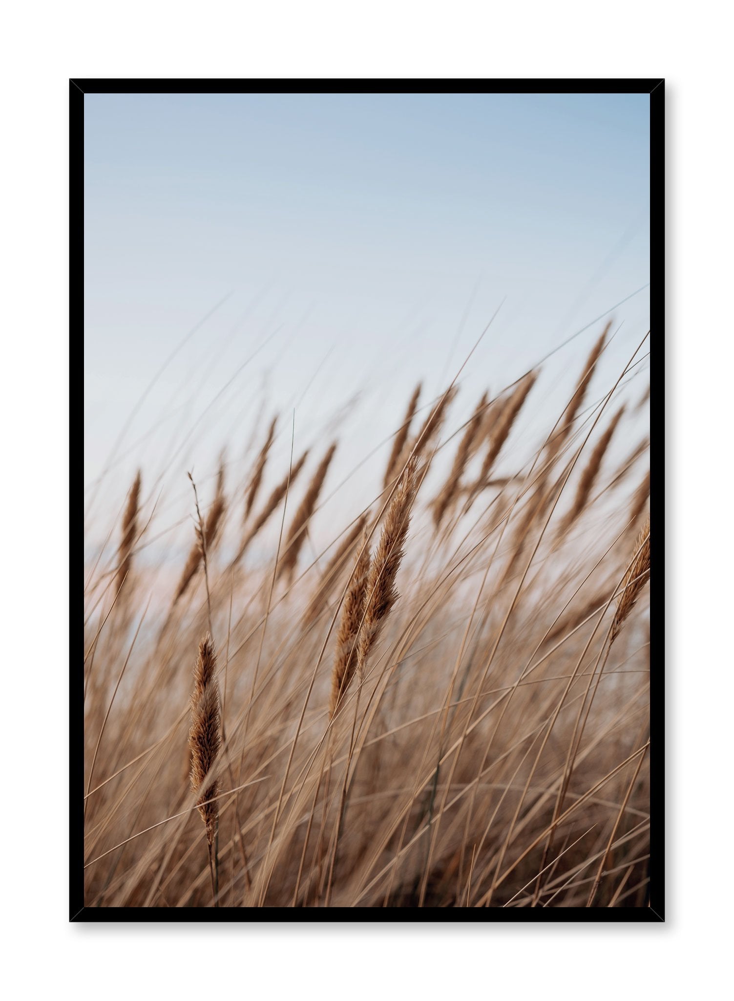 Prairie Feathers Wall Art Print - Vintage Botanical Poster for Home & Office Decor | Perfect for Living Room, Bedroom, or Office Wall Decoration