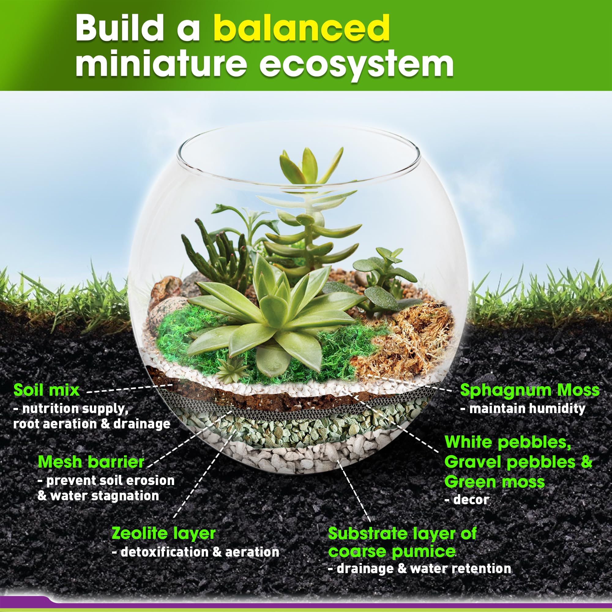 DUSPRO DIY Terrarium Kit - Complete Set with Potting Soil, Pumice, Zeolite, Moss, Decorative Stones & Tools - Perfect for Kids, Air Plants & Succulents | Create Your Own Mini Garden for Home Decor, Office Desk or Gift Idea