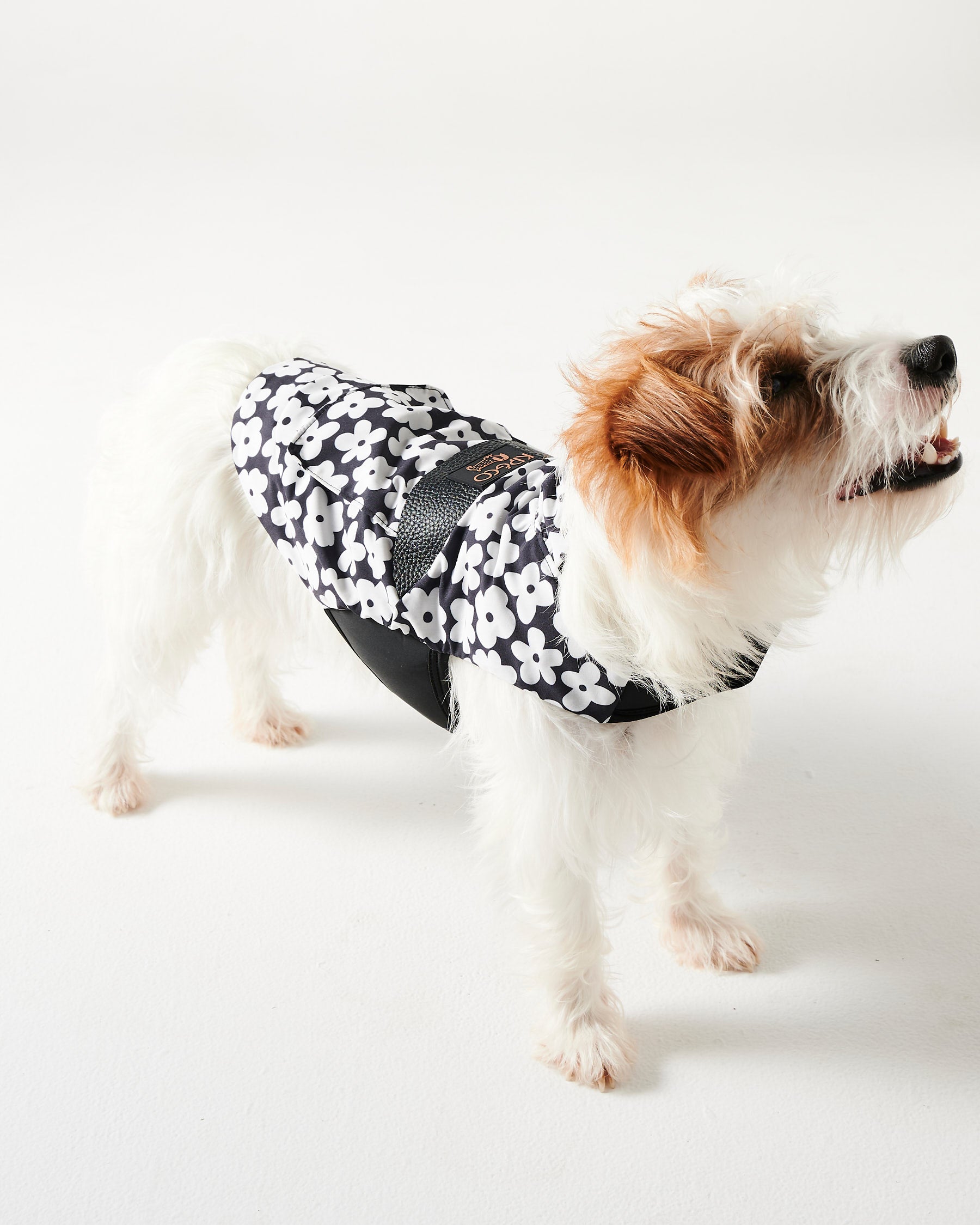 Waterproof Flower Print Dog Jacket - Cute & Stylish Pet Coat for Small to Medium Dogs - Perfect for Outdoor Walks, Park Visits, and Photo Shoots