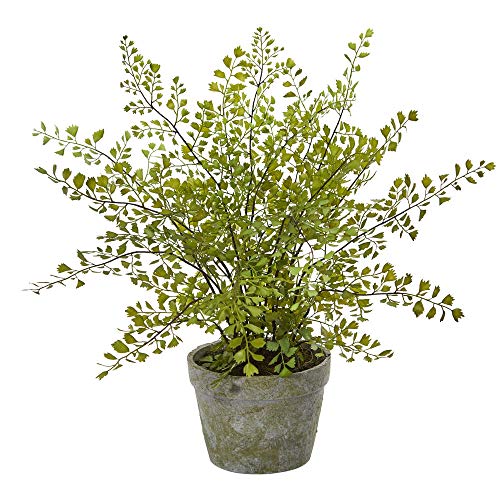 August Grove Artificial Desktop Maidenhair Fern in Decorative Planter - Perfect for Home Office, Living Room & Shelf Decor