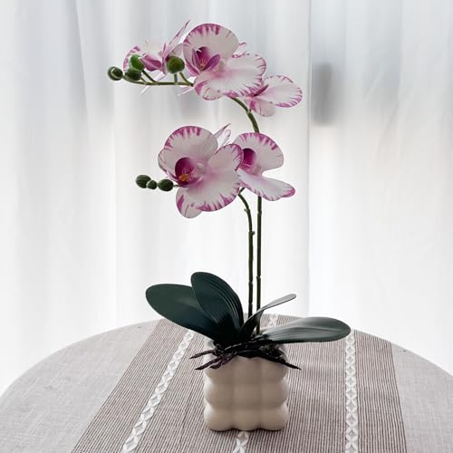 White/Purple-1