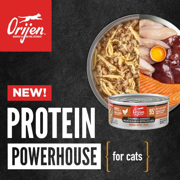 Orijen Duck & Chicken Chunks & Shreds Entrée Canned Cat Food - Grain Free, High Protein Wet Cat Food for Adult Cats - 5.5oz Can (Pack of 12) - Perfect for Picky Eaters & Mealtime Enrichment