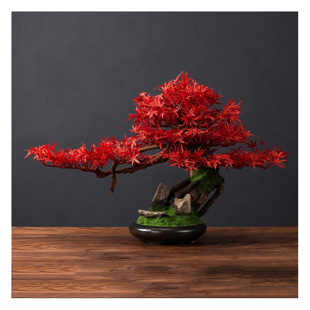 TOMYEUS 10-Inch Artificial Bonsai Tree - Realistic Fake Maple Plant in Pot for Home & Office Decor - Low Maintenance Indoor Houseplant for Living Room, Bedroom, Desk, Shelf Display - Perfect Gift for Plant Lovers (Color: Brown)