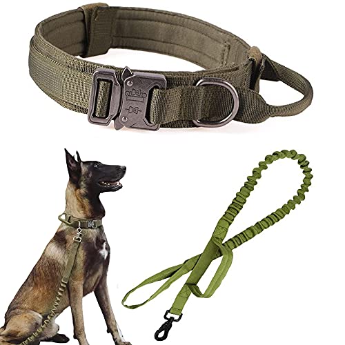 Green SET(collar+leash)