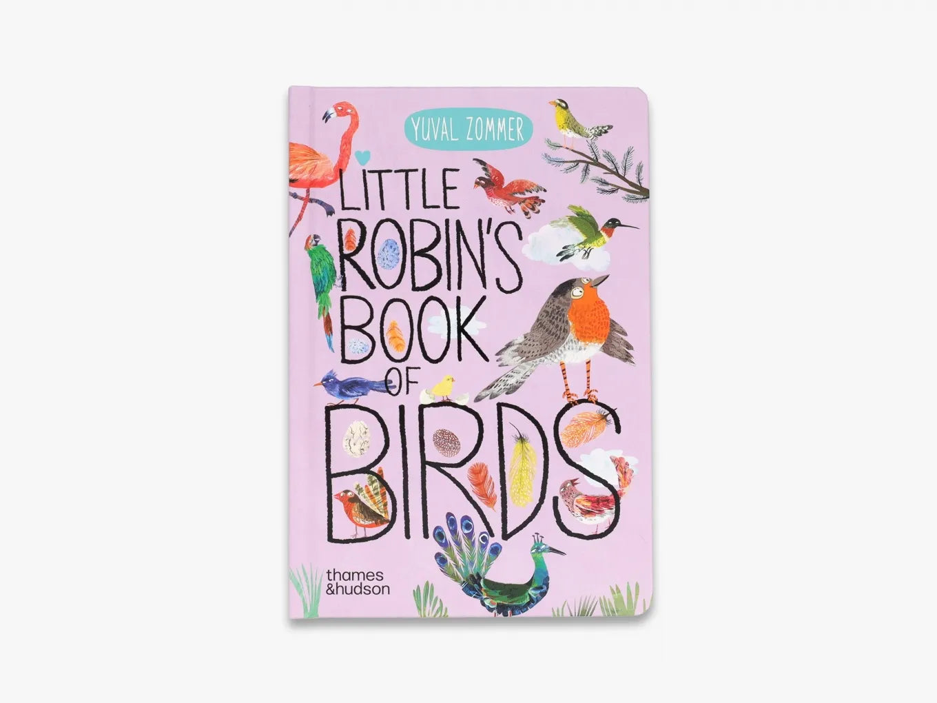 Little Robin's Book of Birds - The Big Book Series | Illustrated Children's Nature Guide | Perfect for Homeschooling & Bedtime Reading