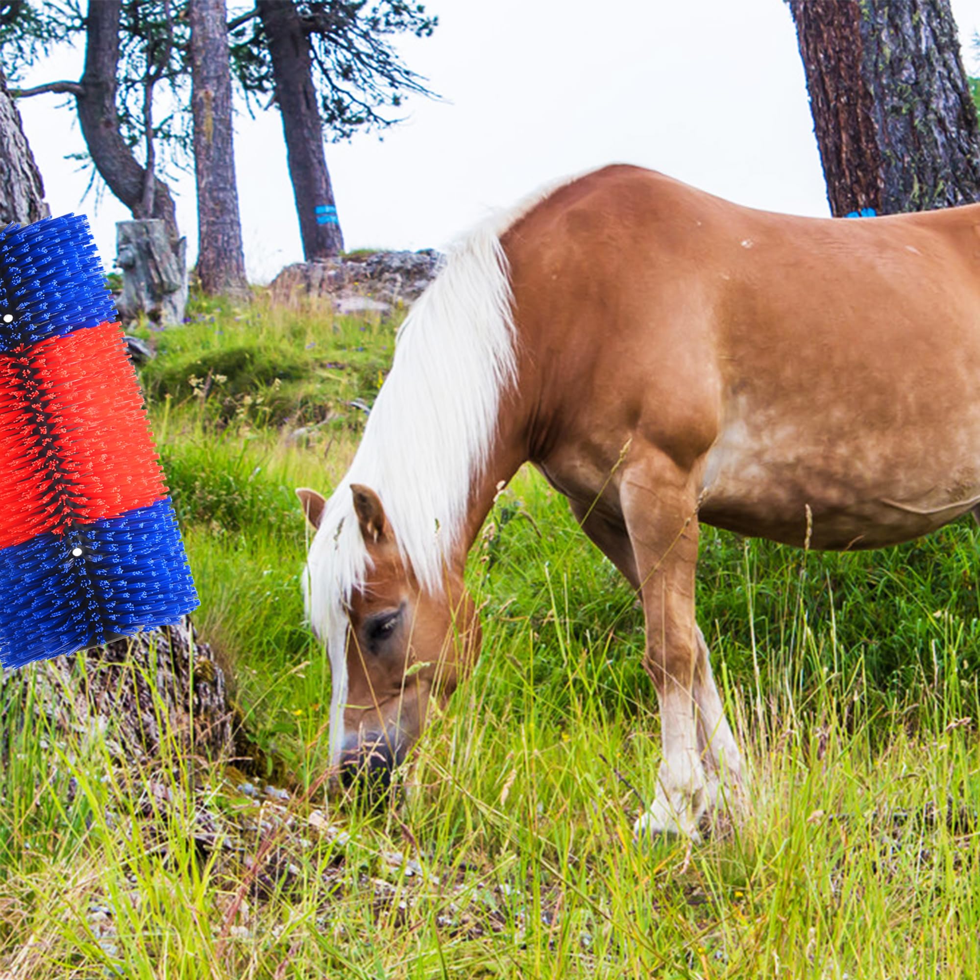 4PCS Livestock Scratch Brushes for Horses, Cattle, Pigs & Sheep - Anti-Itch Grooming Tool for Animal Comfort - Relieves Back Itching & Skin Irritation - Durable Red Brushes for Farm Animals & Ranch Use - Perfect for Daily Grooming, Shedding & Massage