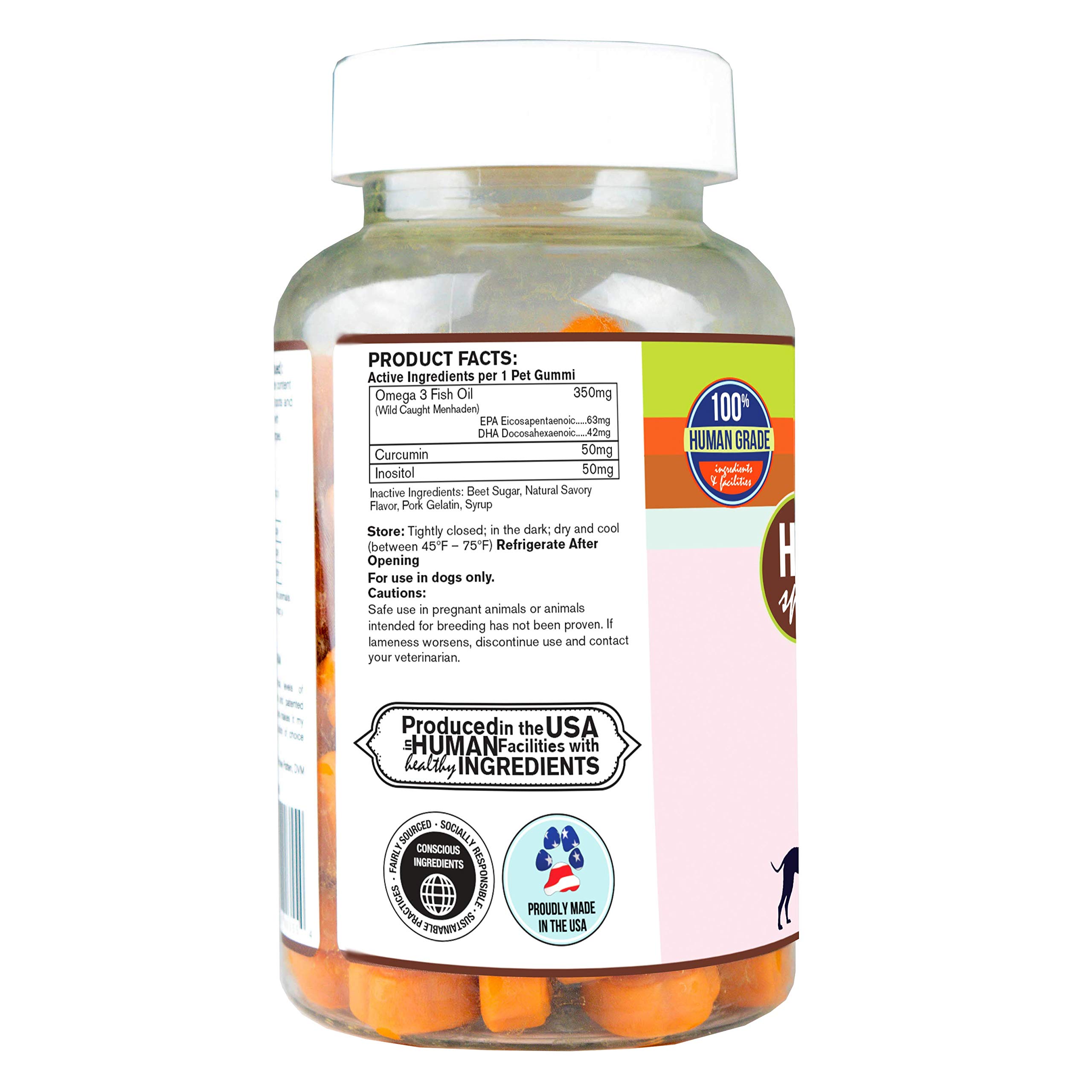 Omega 3 Dog Allergy Relief Gummies - Skin & Itch Relief Supplement with Turmeric for Dogs - 90 Chewable Vitamins for Healthy Coat & Skin - Perfect for Seasonal Allergies & Dry Skin Care