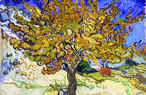 Mulberry Tree