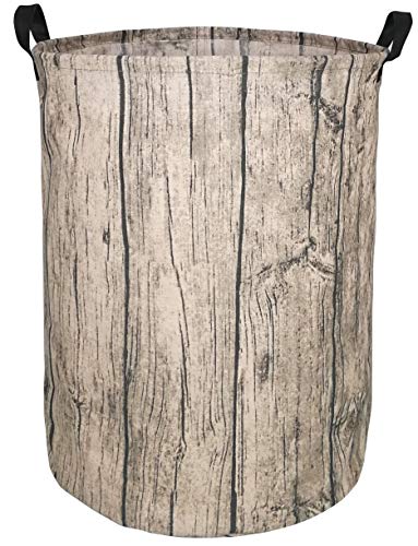 Tree Stump