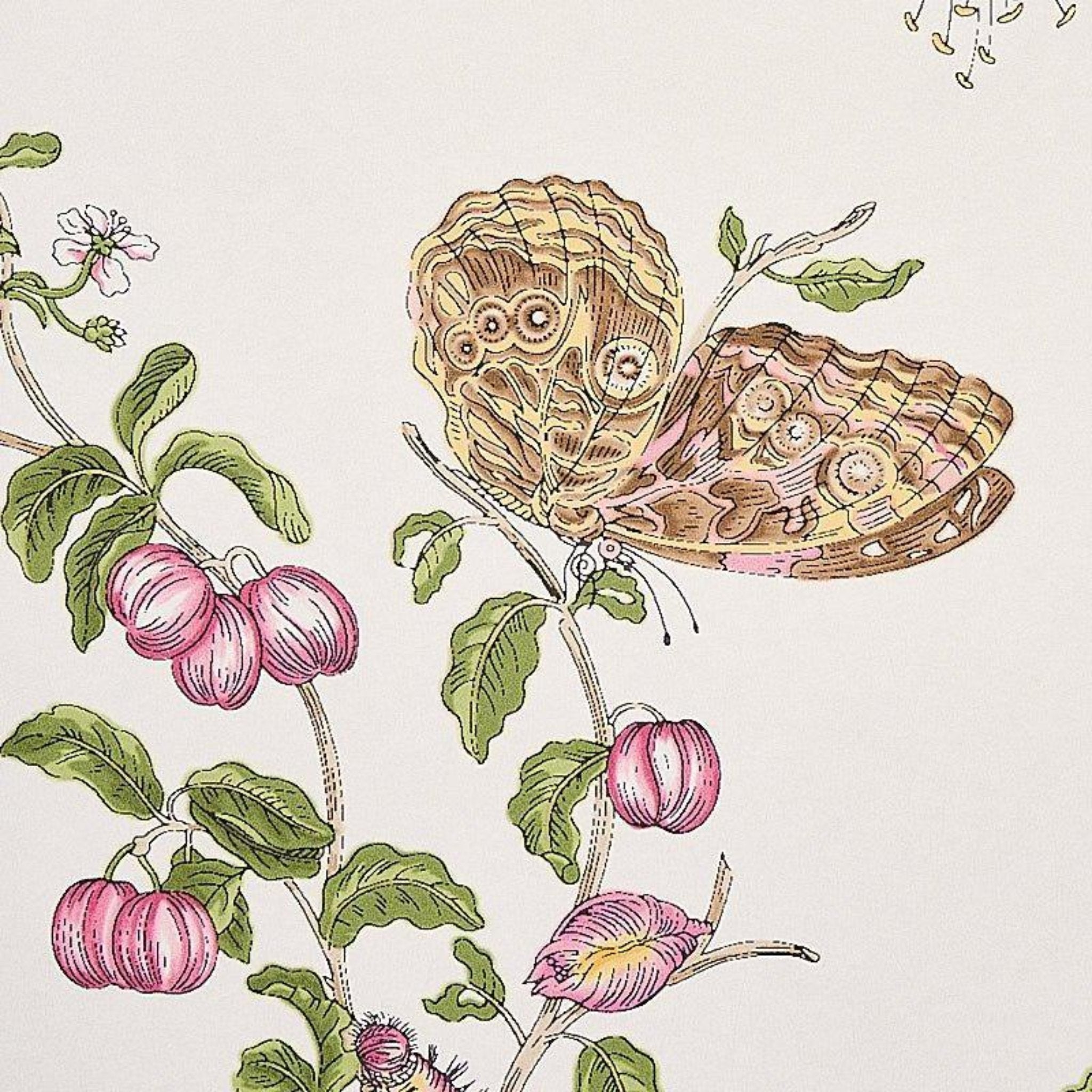 Baudin Butterfly Wallpaper in Blush Pink - Floral Peel and Stick Removable Wallpaper for Bedroom, Nursery, Living Room Decor