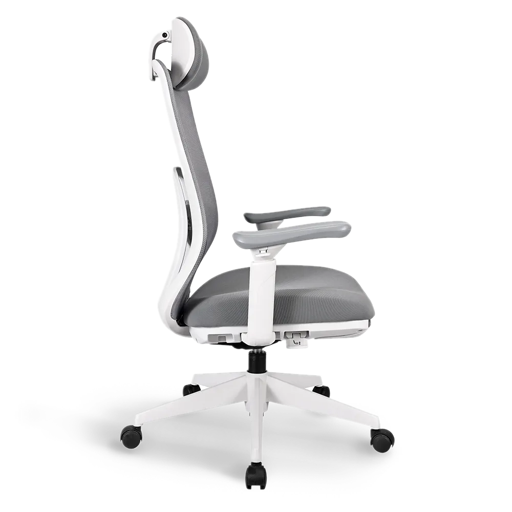 Pluto Ergonomic Office Chair - Adjustable Lumbar Support & Breathable Mesh Back - Perfect for Home Office, Gaming & Workspace