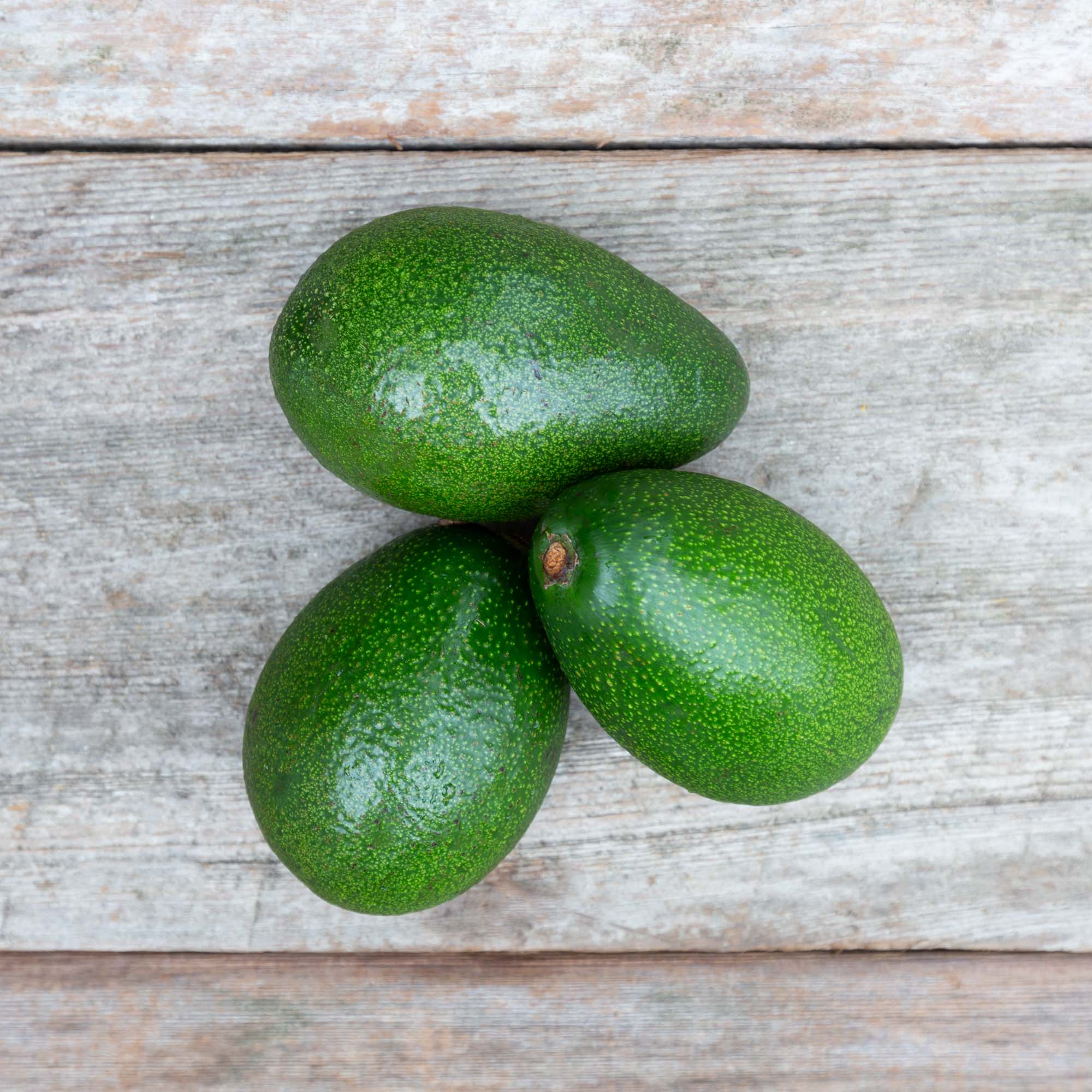 Organic Bacon Avocados - Premium Hass Avocado Variety for Guacamole, Salads & Healthy Eating | Perfect for Keto, Paleo & Vegan Diets