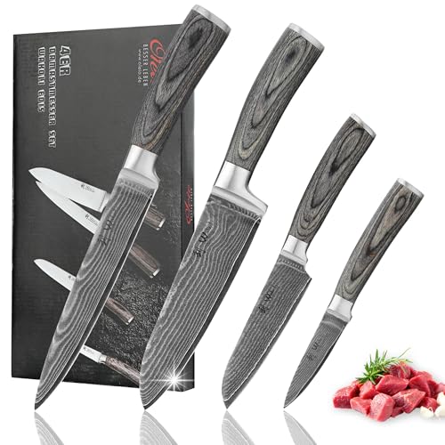4Pcs Damascus Knife Set (EDIS)