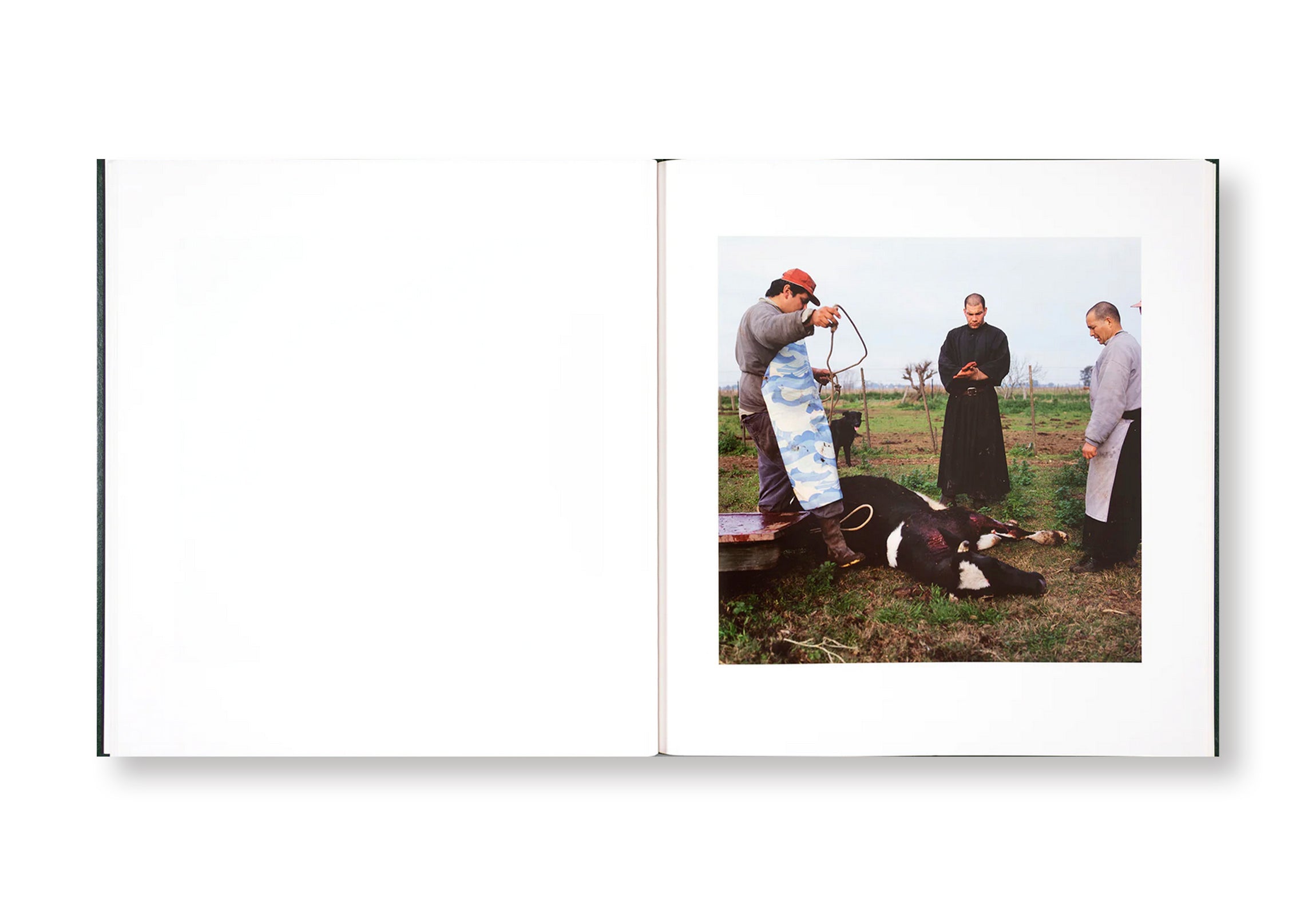 ON THE SIXTH DAY by Alessandra Sanguinetti - Signed Photography Book - Perfect for Art Collectors & Photography Enthusiasts