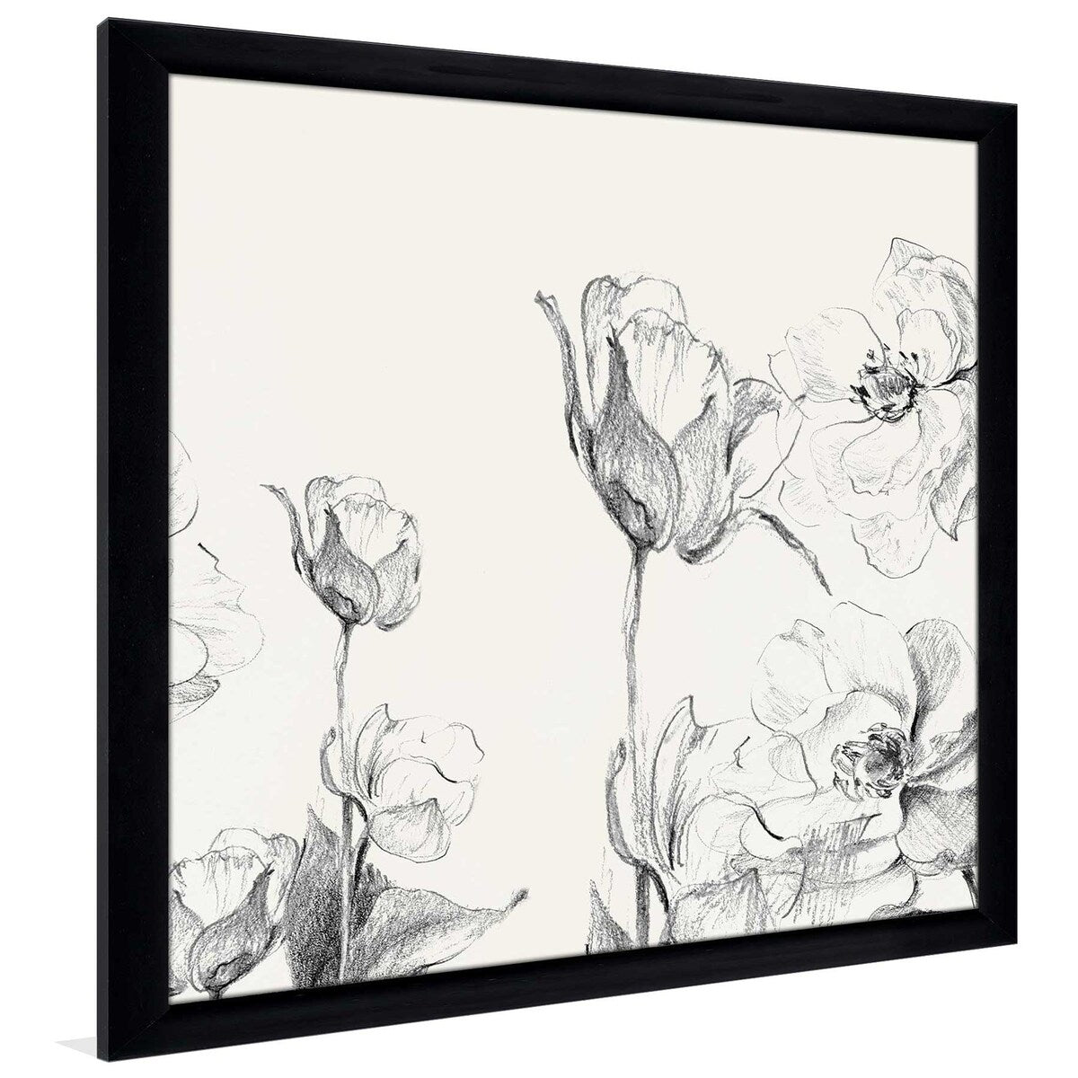 Amaryllis Field Square II Floral Art Print on Acrylic - Modern Home Decor for Living Room, Bedroom & Office Wall