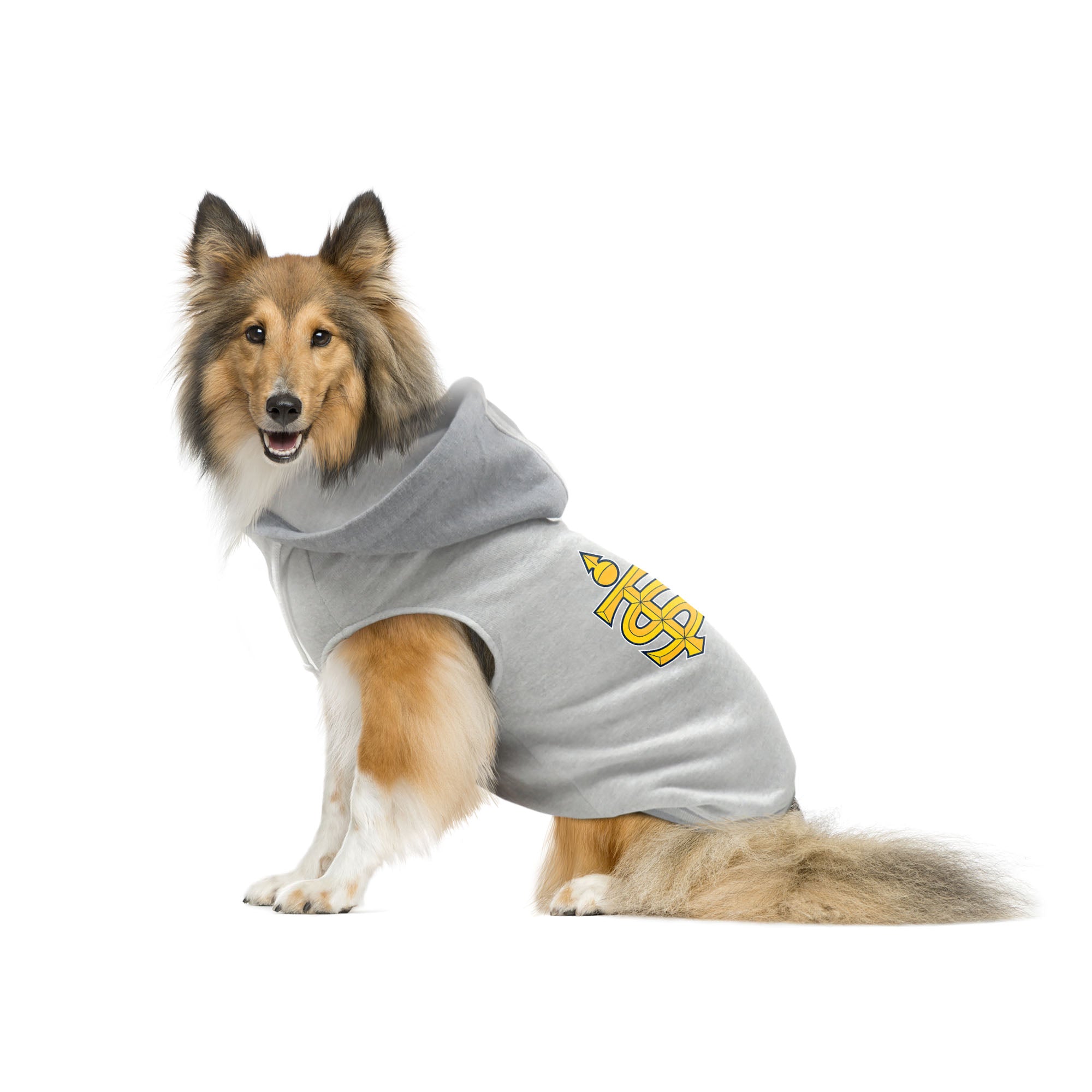 Toronto Sceptres Pet Hooded Crewneck Sweatshirt - Cozy & Stylish Dog & Cat Apparel for Winter - Perfect for Outdoor Walks & Indoor Lounging