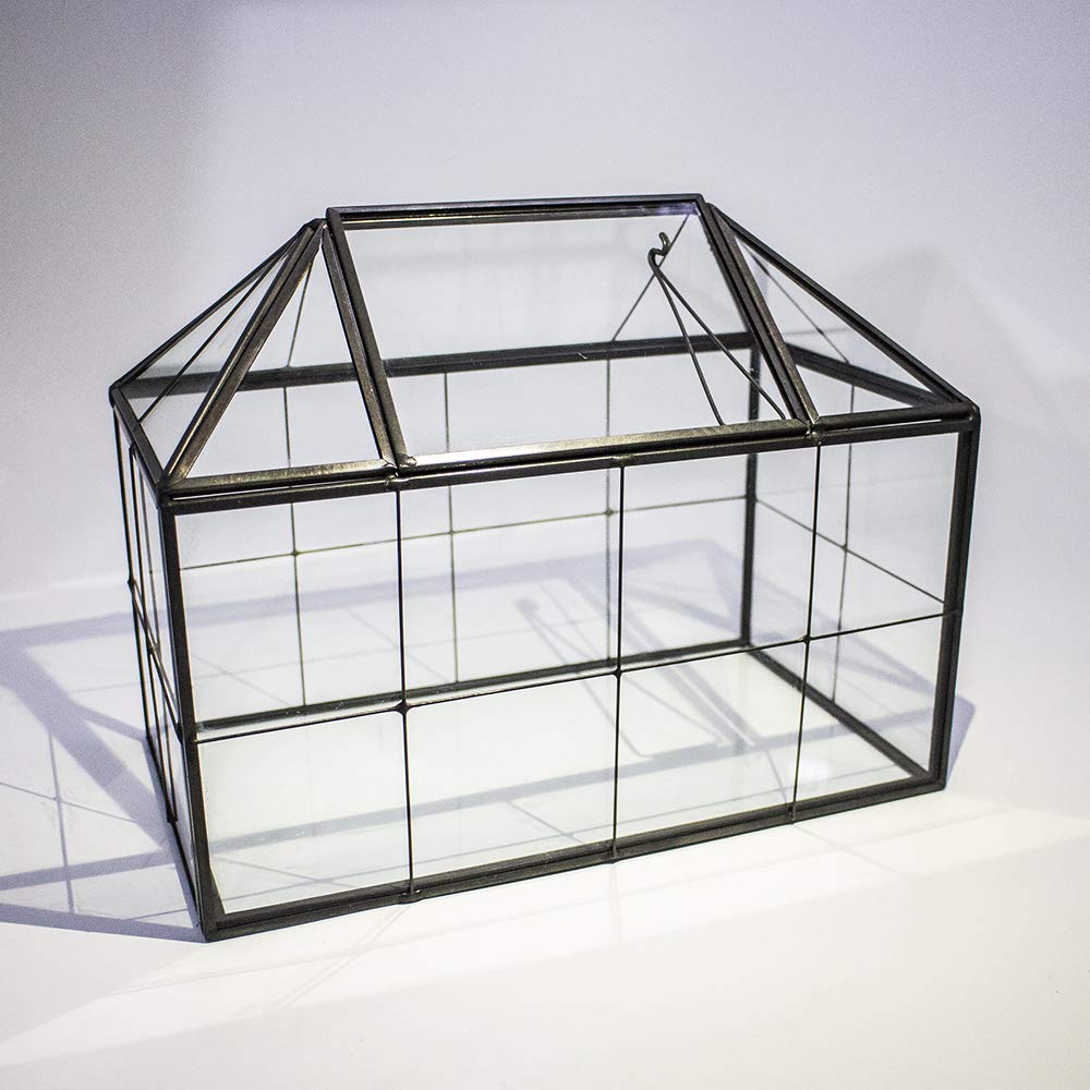 Ferrisland Glass Terrarium Greenhouse - House Shape Display Box for Succulents & Air Plants | Modern Tabletop Decor Planter Container | Perfect for Home Office, Wedding Centerpiece & DIY Garden Projects