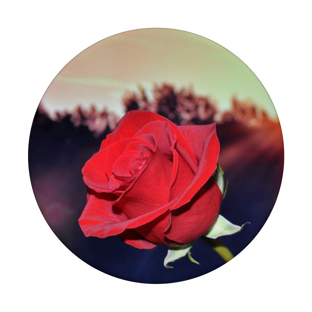 Red Rose Floral PopSocket Grip & Stand for iPhone, Samsung & Tablets - Perfect Gift for Valentine's Day, Mother's Day & Everyday Use