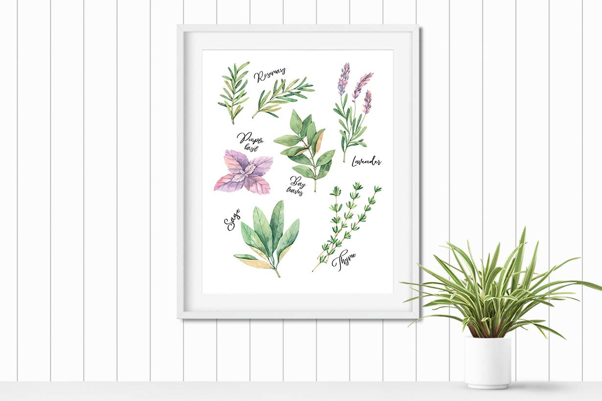 Botanical Kitchen Wall Art - Rustic Farmhouse Decor for Home & Kitchen