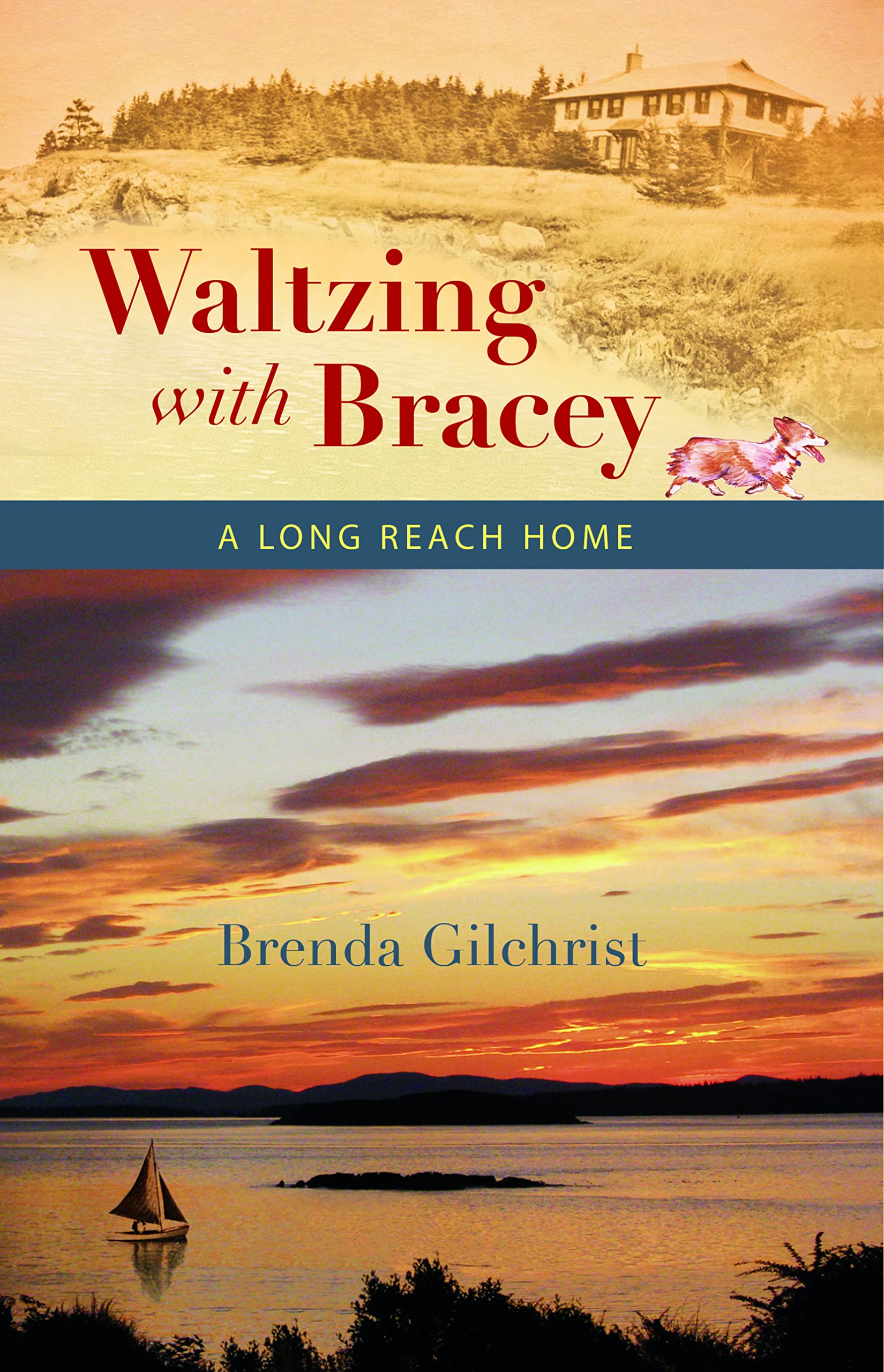 Waltzing with Bracey: A Long Reach Home - Heartwarming Story of Family and Belonging | Perfect for Book Clubs, Gifts, and Inspirational Reading
