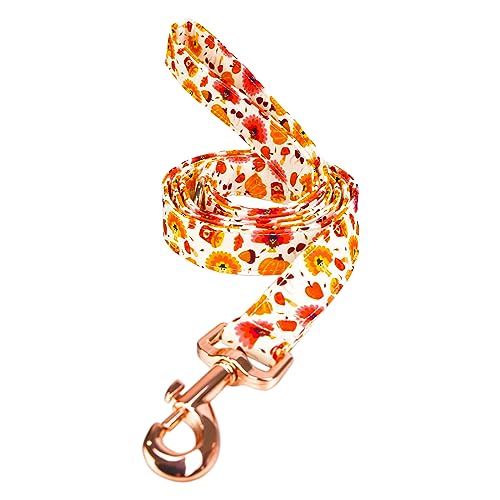 Thanksgiving Leash