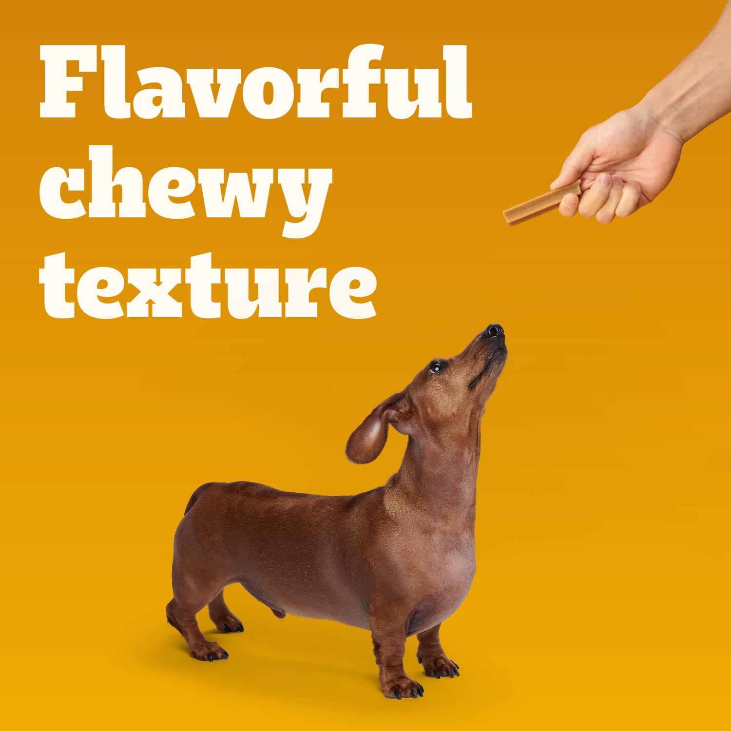 Pedigree Dentastix Toy & Small Breed Dog Treats - Original Beef Flavor & Fresh Variety Pack, 2.36 lb (157 Chews) - Dental Care for Small Dogs, Daily Oral Hygiene & Teeth Cleaning Treats
