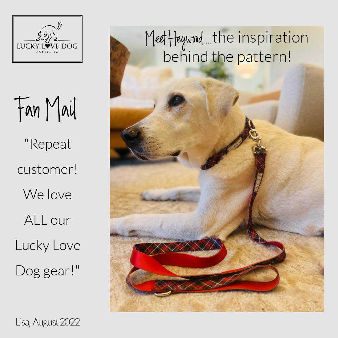Heywood Martingale Dog Collar - Adjustable Nylon Pet Collar with D-Ring for Leash Attachment - Perfect for Training, Walking, and Outdoor Adventures