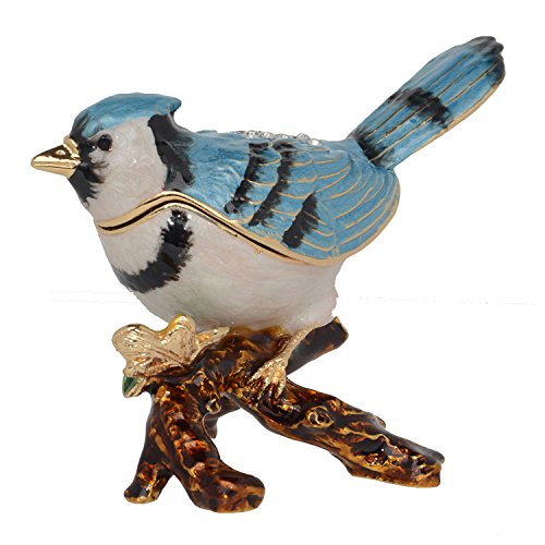 Blue Jay-3
