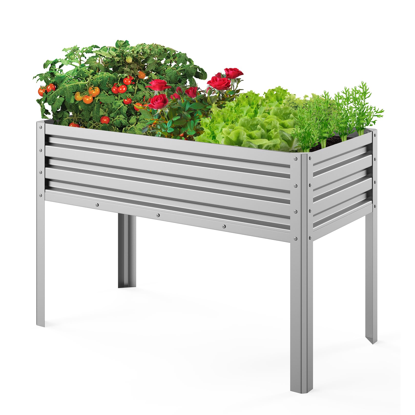 Galvanized Raised Garden Bed 48x24x32 Inches - Elevated Metal Planter Box for Vegetables, Flowers, Herbs - Outdoor Gardening with Legs - Easy Assembly Silver - Perfect for Backyard, Patio, and Urban Farming
