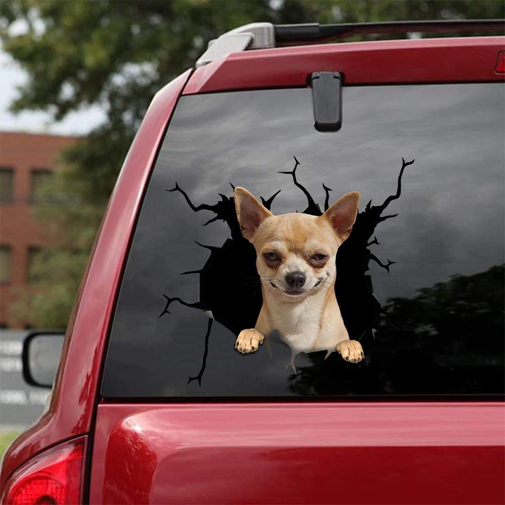 Realistic Chihuahua Car & Wall Decals Stickers - Pack of 2 (8
