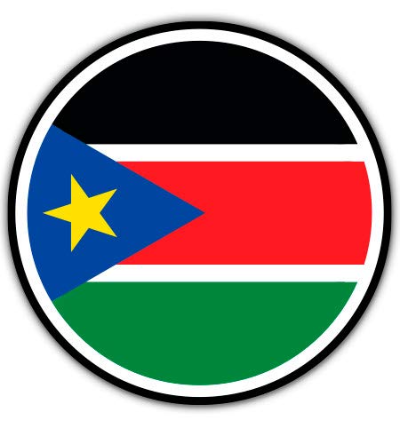 South Sudan Flag 8