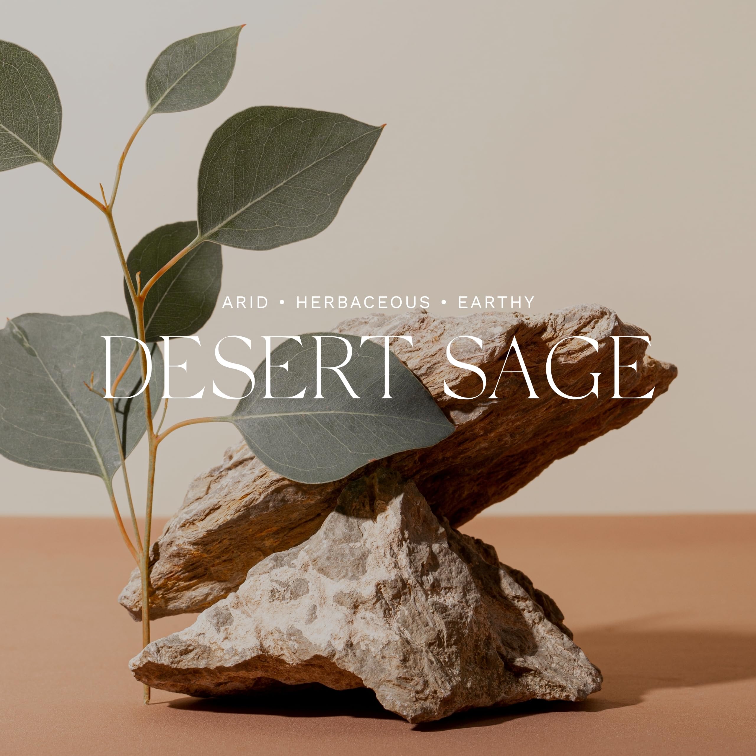 Antica Farmacista Desert Sage Essential Oil Diffuser - 16.9 Fl Oz Aromatherapy Humidifier for Home, Office & Spa | Relaxing Scent for Stress Relief & Better Sleep