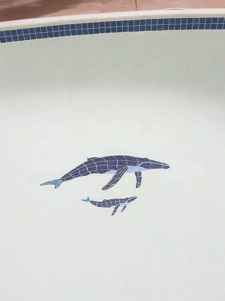 Humpback Whale & Baby Ceramic Swimming Pool Mosaic Tile (60